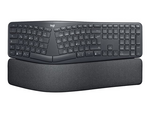 ERGO K860 - tastatur