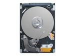 Harddisk - 300 GB