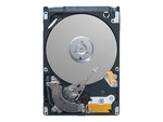 Harddisk - 300 GB