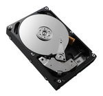 Harddisk - 300 GB